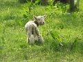 IMG_2001