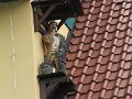 IMG_2051